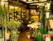 神奈川県横浜市西区の花屋　花幸